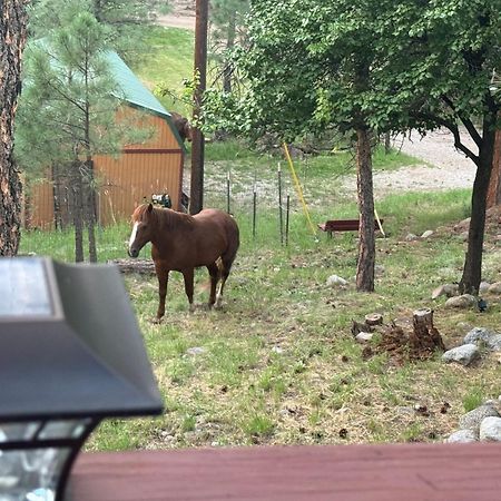 Gonzales Cozy Little Bear Cabin Ruidoso Eksteriør bilde