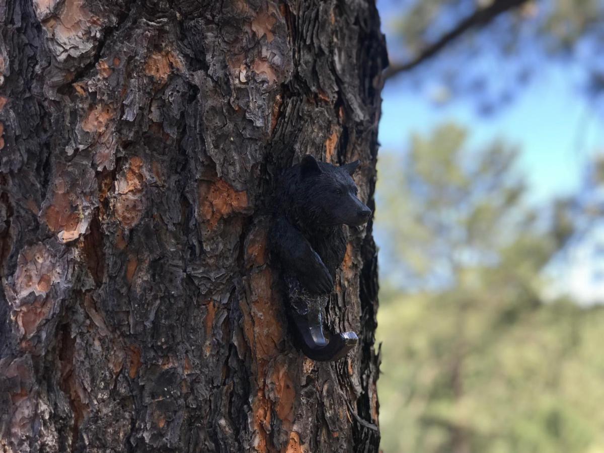 Gonzales Cozy Little Bear Cabin Ruidoso Eksteriør bilde